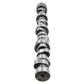 Hydraulic Camshaft 5038419AB for Chrysler 300 Dodge Charger (2012-2022)