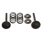 Spring Retainer Kit for 5 5 6 5HP Engines