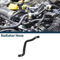 Radiator Hose for Hyundai Azera (2006–2011) No. 254153L100