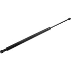 Lift Support for Lexus GS350 (2007–2011) Driver and Passenger Side