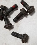 Set of 6 Flex Plate Bolts for Jaguar XJ6 4.0L (1995–1997)