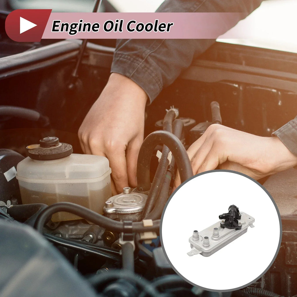 Engine Oil Cooler for BMW 5 Series 535i (2010-2016)