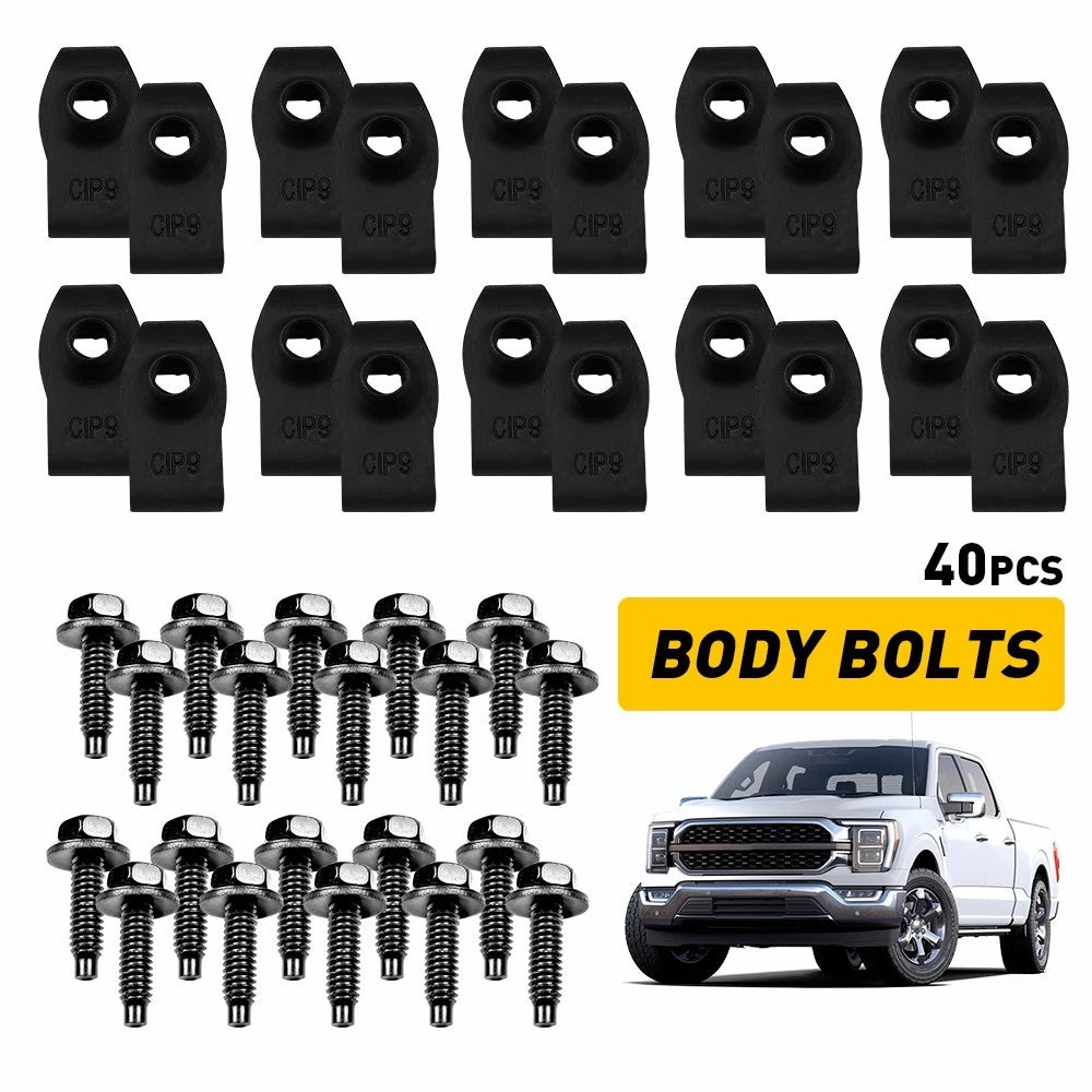 Set of 40 Body Bolts & Clips for (#374 EXV)