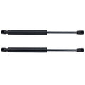 Trunk Lid Lift Supports Set of 2 for Sedan