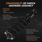 Complete Strut and Spring Set for Honda Civic (2012)