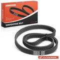 31.52 Inch Serpentine Belt for Ford Mustang (2015–2023)