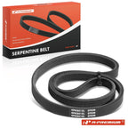 31.52 Inch Serpentine Belt for Ford Mustang (2015–2023)