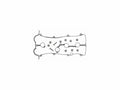 Valve Cover Gasket Set for Mazda Protege5 (2002–2003) H586RK