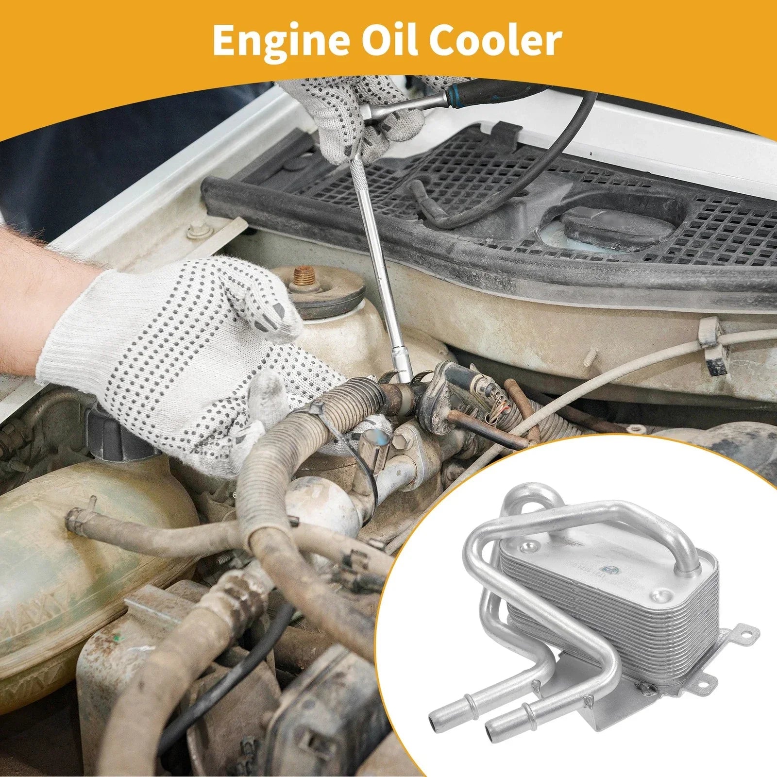 Engine Oil Cooler Trans Cooler for BMW 7 Series (2003-2008)
