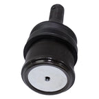 Ball Joints for Ram Van Truck (1994-2003)