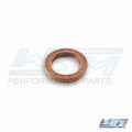 Outer Crank Seal for Sea-Doo Spark 900 (2014–2021) 009-789