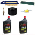 Filters w/ Spark Plug & Oil for John Deere 115 L108 LA105 LA110 LA115 (49)
