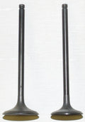 WSM 400-500 Engine Valve Kit for (1998–2009) 017-207