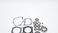 Complete Gasket Set + Bearings for Honda TRX 350TE Rancher (2000–2006)