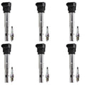 Set of 6 Ignition Coils & NGK Platinum Spark Plugs for Audi Q5 (2009–2017)