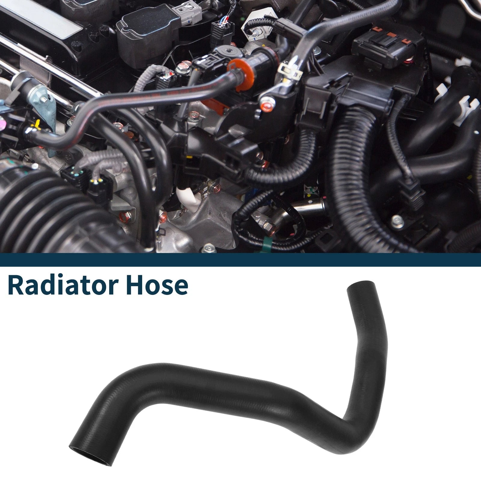 Radiator Hose Water Tank Drain Pipe for Ford Taurus (2010–2019) No.BB5Z8286G Rubber