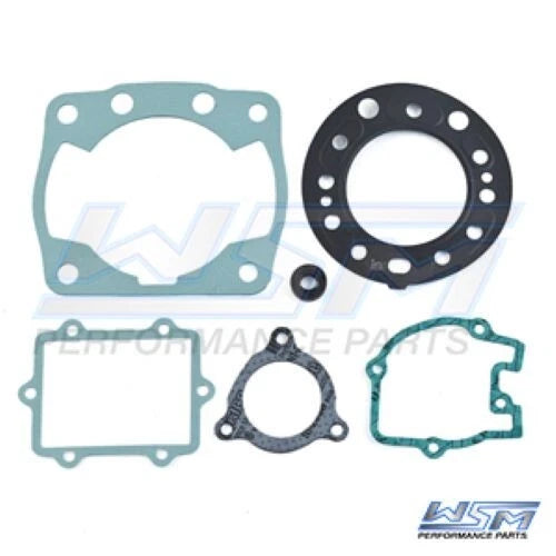 Gasket Kit for WSM