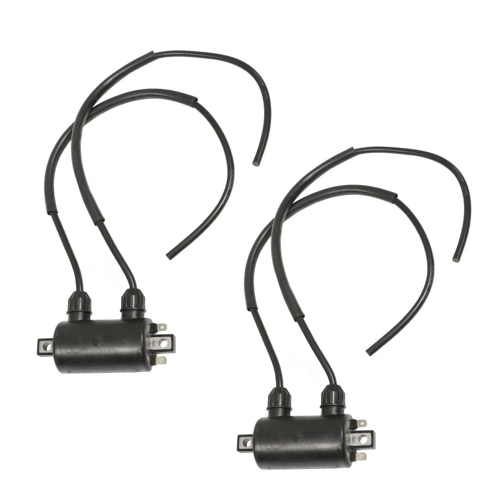 2X Ignition Coils for Honda Shadow VT750C VT800C (1983â1988)