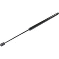 Liftgate Lift Supports for Mazda Tribute (Passenger Right Side)