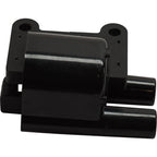 Ignition Coil for Hyundai Santa Fe (2002–2004)