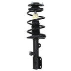 Pair of Struts with Coil Springs for Scion TC (2005–2010)
