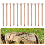 4 Inch Copper Nails for Tree Removal and Garden Hardware
