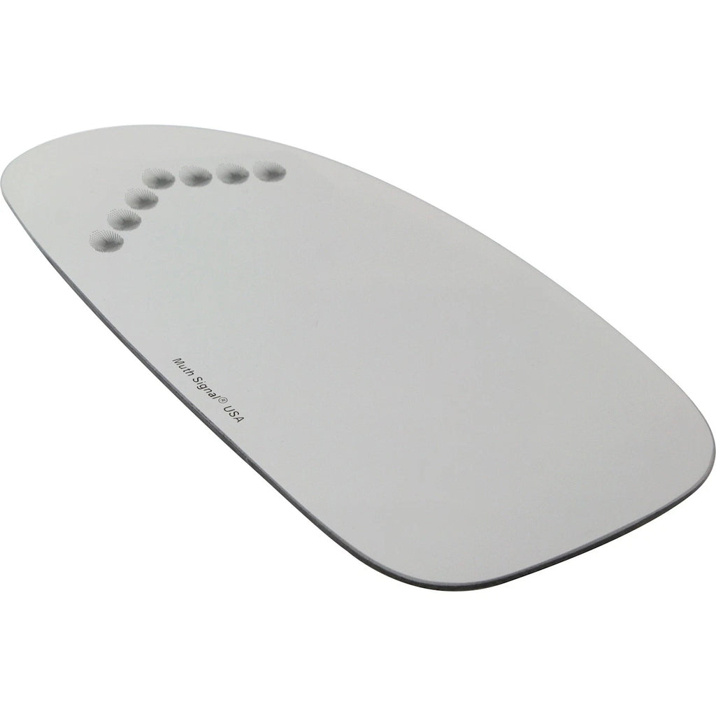 Heated Mirror Glass for Buick LeSabre (2003–2005) Front Left with Turn Signal