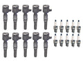 Set of 10 Ignition Coils & Iridium Spark Plugs for Ford V10