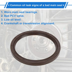 Rear Crankshaft Oil Seal for Hyundai (MD174462, 21443-25000)