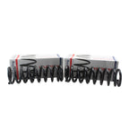 Front Coil Spring Kit for Buick Chevy GMC Oldsmobile (4112111)