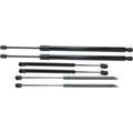 Lift Support Set for Ford Expedition (1997–2002)