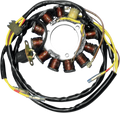 Stator for Rick's Motorsport Electric (21-552)