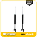 Rear Shock Struts Pair for Dodge Dart (2013–2016)