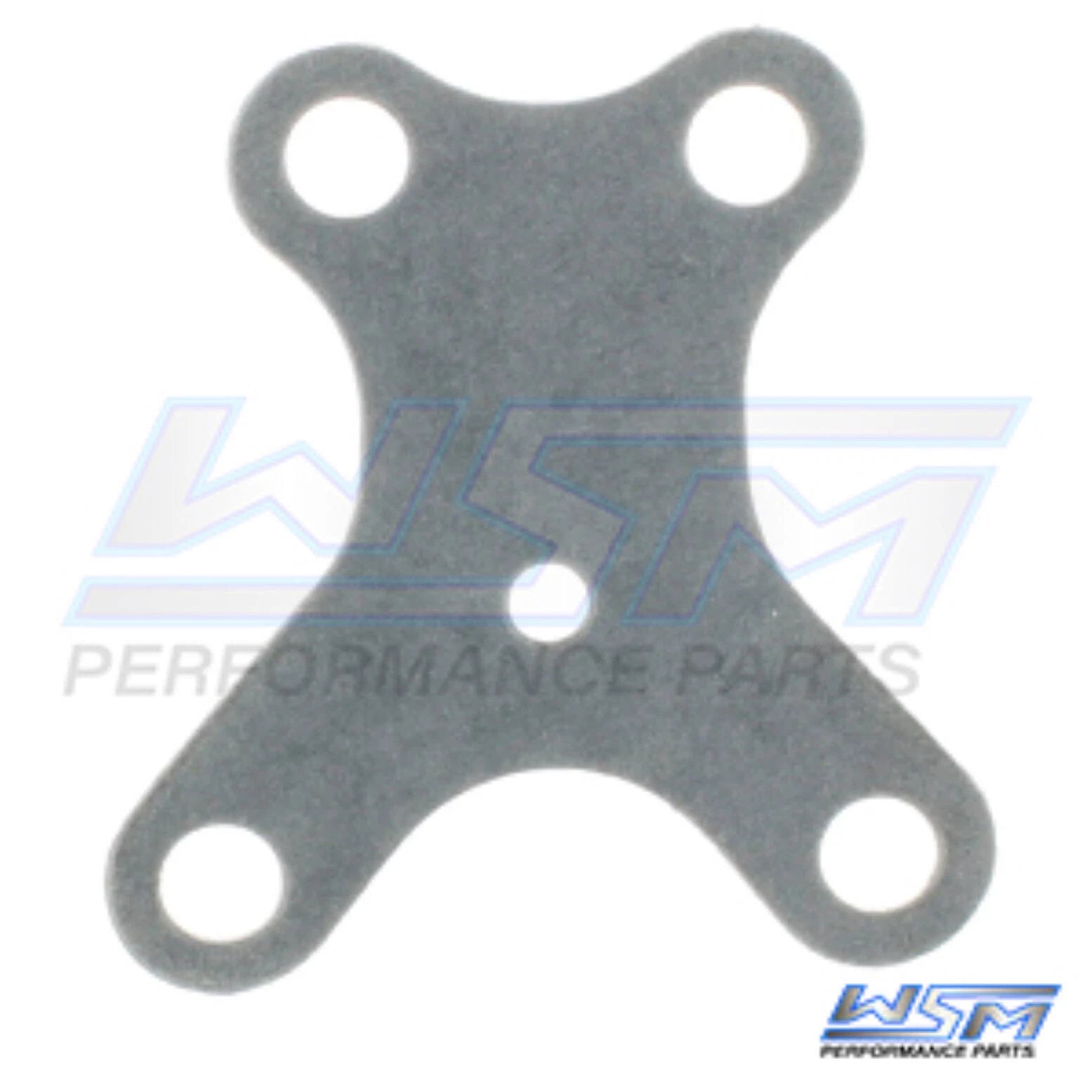 WSM Gasket for