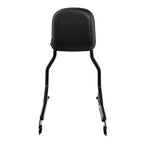 Sissy Bar Backrest Pad for Harley Softail Low Rider FXLR FLSB (2018–2026)