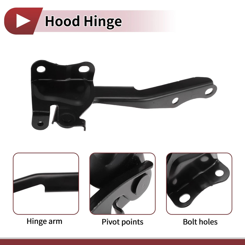 Hood Hinge for Toyota Highlander (2015) Left Side, 1 pcs