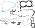 Complete Motor Gasket Kit with Oil Seals for Polaris (811969mse)