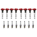 Set of 8 Ignition Coils & NGK G-Power Spark Plugs for Audi VW Porsche 4.2L V8