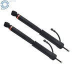 2X Rear Shock for Lexus GX470 (2003-2009)