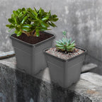 Set of 10 Square Nursery Pots for Plant Container (Gallon Sizes)