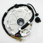 Magneto Stator Plate for Lifan W150 150cc Pit Pro Dirt Bike (2010–2023)