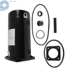 Pool Pump Motor for Square Flange (115/230V)