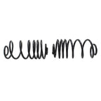 Rear Coil Spring 4412140 for Buick Chevrolet GMC Oldsmobile Pontiac (N/A)
