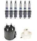 Distributor Rotor Cap & Spark Plugs Kit for Oldsmobile Chevy GMC 4.3L V6 (1996–2002)