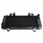 Radiator Guard for Kawasaki Ninja 300 EX300 (2013–2017)