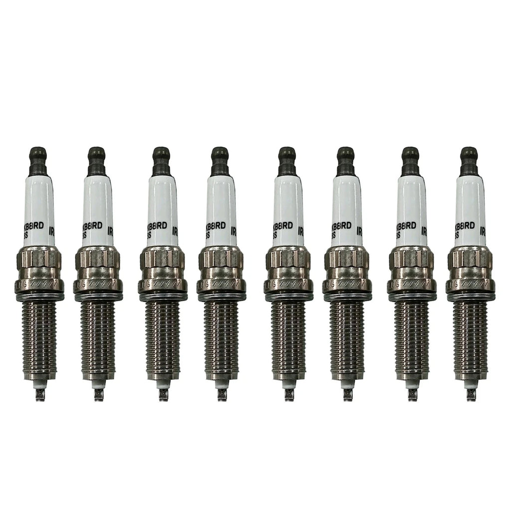 Set of 8 Spark Plugs for BMW 550i 750Li Xdrive M5 Alpina B7 X5 X6 (2006–2019)