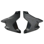 Side Frame Fairing Cowl Guards Radiator Cover for BMW R1250GS (2018–2023) Carbon