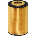 Oil Filters for VW Audi A3 Beetle Jetta (2003–2019)