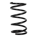 2X Rear Coil Springs for Toyota RAV4 (2001–2005)