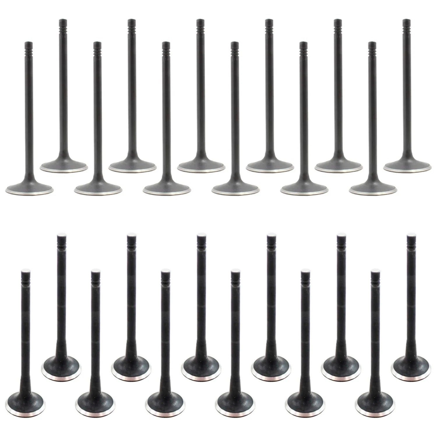 Set of 24 Intake & Exhaust Valves for Audi A4 A6 Q5 SQ5 V6 Gas